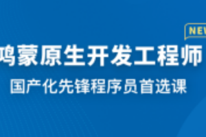 极客时间大模型RAG进阶实战营（包更新）